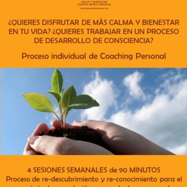 Proceso individual Coaching Personal. NGM Salud y Bienestar Nuria Gomar Mirallave. Torrente y Valencia Ciudad.